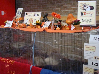 20121021_152 (Expo)